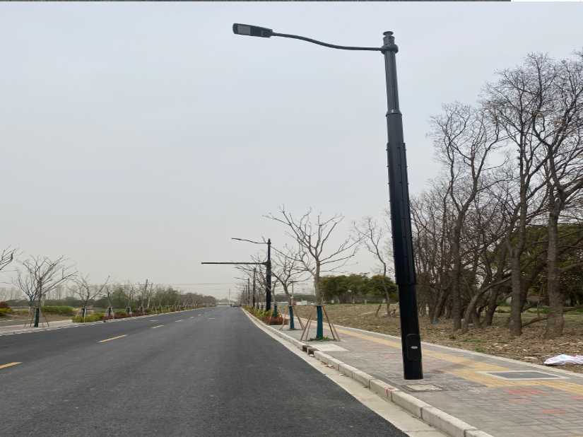 银海区上海综合杆 太阳能路灯工程